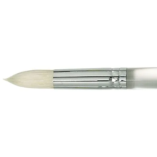 Picture of Duncan Discovery Brush No. 10 Round Opaque