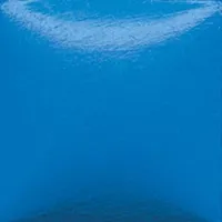 Picture of Duncan Opaque Acrylic OS459 Bright Blue 59ml