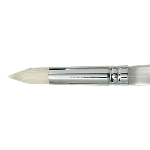 Picture of Duncan Discovery Brush Round Opaque Size 8