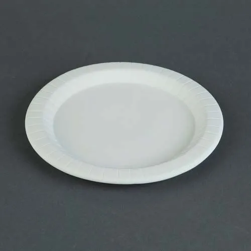 Picture of Ceramic Bisque 33436 Classic Picnic Paper Plate