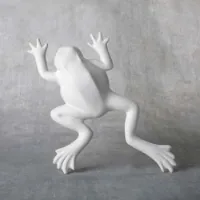 Picture of Ceramic Bisque 38321 Wall Frog
