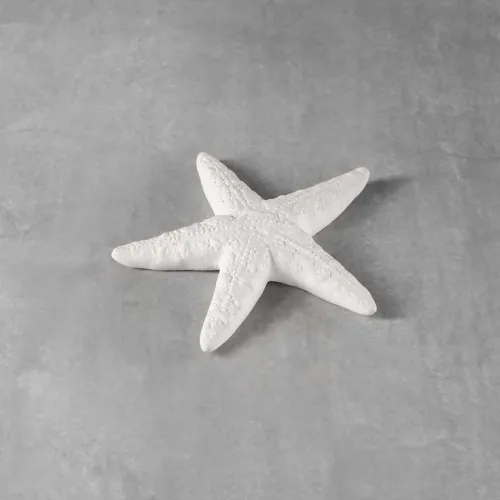 Picture of Ceramic Bisque C63000 Starfish 3D 12pc