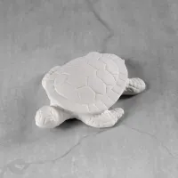 Picture of Ceramic Bisque CCX3131 Baby Sea Turtle